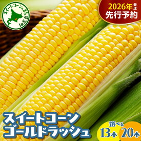 【ふるさと納税】【 先行予約 】 十勝めむろ産 とうもろこし ゴールドラッシュ ( 選べる内容量 : 13本 / 20本 ) |【 2026年8月5日頃から発送 】 スイートコーン トウモロコシ 甘い 人気 朝採り 朝採れ 産地直送 送料無料 北海道 十勝 芽室町