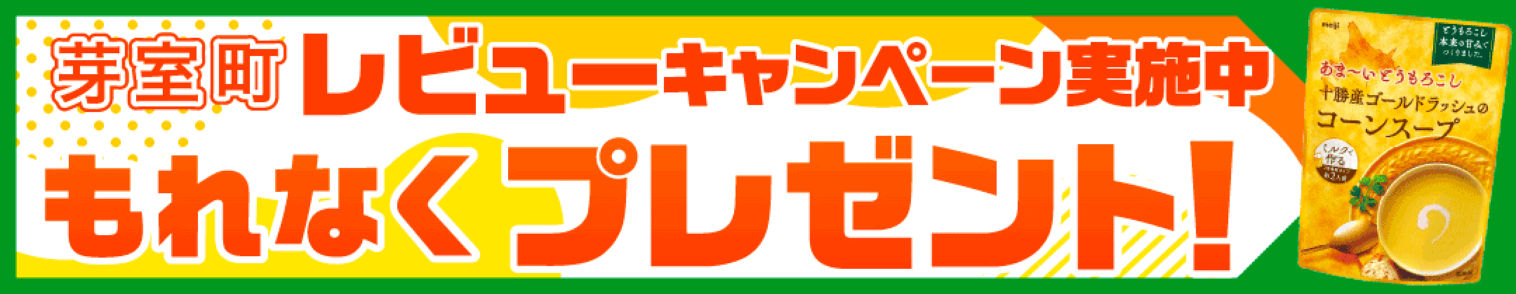 レビューキャンペーン実施中