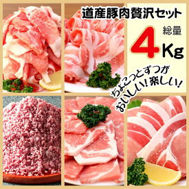 【ふるさと納税】＜1～2か月待ち＞肉屋のプロ厳選!北海道産豚肉 贅沢詰め合わせセット4kg[A1-57B]