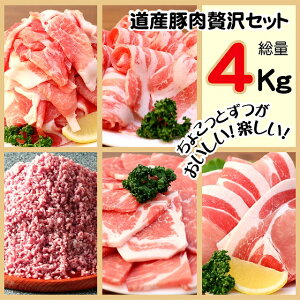 yӂ邳Ɣ[Łz̃vII kCY ؓ ґ lߍ킹 Zbg 4kg y2025N11{܂Ŕ\z [007-0009x2] yVX[p[SALE 9J