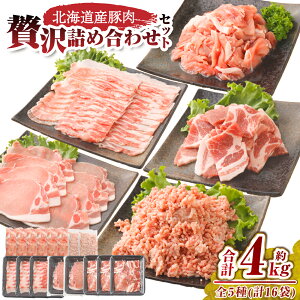 yӂ邳Ɣ[Łz̃vII kCY ؓ ґ lߍ킹 Zbg 4kg y2026N2{܂ł̏z 25000~ 25000~ [007-0009x4]