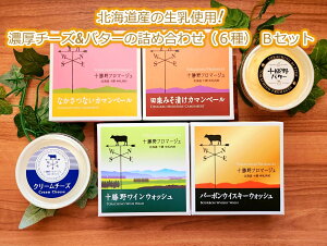 yӂ邳Ɣ[ŁzkC\Y̐gp!Z`[Y&o^[̋lߍ킹(6) BZbg[C2-1B] yVX[p[SALE 9J