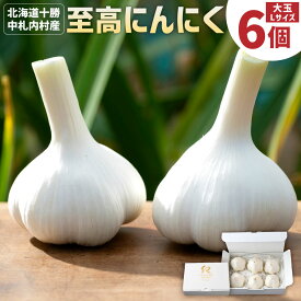 【ふるさと納税】芳醇な香りと上質な風味を探求！北海道 十勝 中札内村 鎌田農園の至高にんにく 大玉 （Lサイズ） 6個入り にんにく ニンニク 大蒜 野菜 薬味 長期保存 送料無料 【2025年10月上旬～2026年4月上旬に順次発送予定】 [020-0024x1]