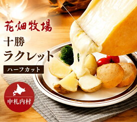 【ふるさと納税】花畑牧場 十勝 産 生乳 ラクレット ハーフカット 不定貫 （約2.3kg～約2.7kg） ラクレットチーズ チーズ 沖縄配送可 北海道 中札内村 国産 ナチュラルチーズ 乳製品 お取り寄せ 冷蔵 送料無料 [P3-1]