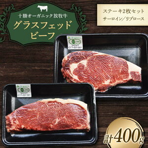 yӂ邳Ɣ[Łzy\I[KjbNq(OXtFbhr[t)Xe[L2Zbgz(400g) ē o[xL[ BBQ  gJv`_ F21P-1142