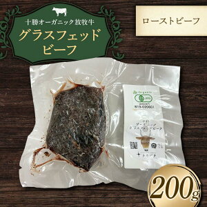 yӂ邳Ɣ[Łzy\I[KjbNqiOXtFbhr[tj[Xgr[tzi200gj   gJv`_ F21P-1384