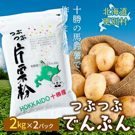 【ふるさと納税】北海道十勝更別村「つぶつぶでんぷん2kg」×2パック F21P-1108