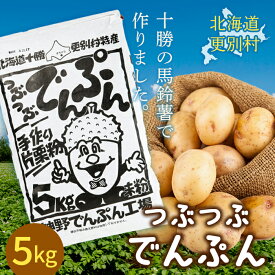 【ふるさと納税】つぶつぶでんぷん5kg 片栗粉 ばれいしょ つぶつぶ片栗粉 料理 北海道十勝更別村 つぶつぶでんぷん5kg 片栗粉 ばれいしょ つぶつぶ片栗粉 料理 北海道十勝更別村 F21P-1109