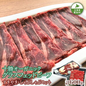 yӂ邳Ɣ[Łz̐ԐgIu\I[KjbN qi OXtFbhr[tj ₫ EԂԃZbg v600g   XCX   Ԑg kC\Xʑ F21P-1137