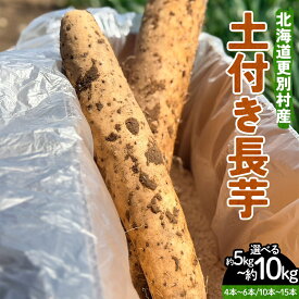 【ふるさと納税】＼選べる容量／北海道更別村産 土付き長芋 5キロ 10キロ 長いも ながいも ナガイモ 新鮮野菜 やさい 5kg 10kg F21P-1569var
