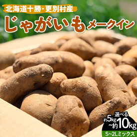 【ふるさと納税】＼選べる容量／北海道十勝・更別村産 じゃがいも（メークイン） 5キロ 10キロ 芋 ジャガイモ 新鮮野菜 やさい 5kg 10kg F21P-1571var