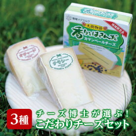 【ふるさと納税】チーズ博士が選ぶこだわりチーズセット(3種)【配送不可地域：離島】【1404985】