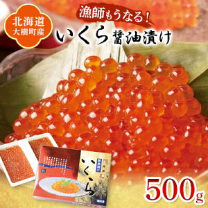 yӂ邳Ɣ[ŁzkCY ݖЂ v500g(250g×2pbN)yzyzsnFzy1423870z