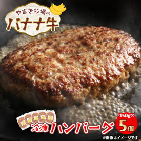 【ふるさと納税】冷凍ハンバーグ150g×5個 交雑牛〈北海道大樹町やまき牧場のバナナ牛〉【配送不可地域：離島】【1507255】