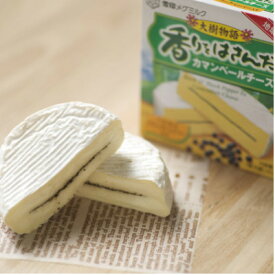 【ふるさと納税】雪印メグミルク大樹工場製造「香りをはさんだカマンベールチーズ大樹物語」20個セット【配送不可地域：離島】【1735320】