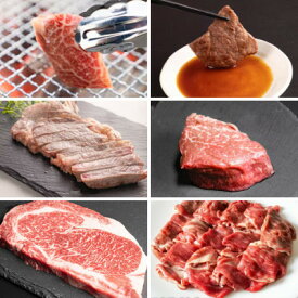 【ふるさと納税】【毎月定期便】十勝姫 北海道 黒毛和牛 焼肉・ステーキ・しゃぶしゃぶ用 グラスフェットビーフ全6回【配送不可地域：離島】【4071531】