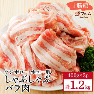 yӂ邳Ɣ[ŁzP{[EzG[ Ԃԃo1.2kgZbgyCT-019z_ ؓ zG[ Ԃ    ɂ jN  Y o o Ԃԗp uh  