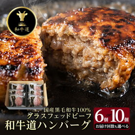 【ふるさと納税】和牛道ハンバーグ120g×(6/10)食セット 北海道 大樹町 国産黒毛和牛 全1/3/6/12回_ 肉 お肉 牛肉 黒毛和牛 ブランド牛 十勝姫 ハンバーグ 北海道 大樹町 冷凍 送料無料 贈答 ギフト 【配送不可地域：離島】【G1439972】