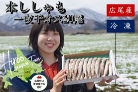 【ふるさと納税】本ししゃも一夜干しオス20尾