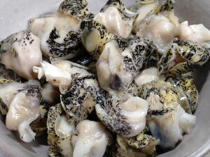 �y�ӂ邳�Ɣ[�Łz�σc�u(0064)