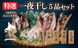【ふるさと納税】北海道十勝広尾町　干物専門店かぶらぎ水産の特選一夜干し5品セット一夜干し5品（真ほっけ、八角、にしん、さば、ししゃも）