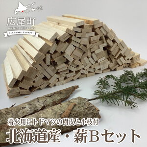 yӂ邳Ɣ[ŁzT^hEbh\Lvo[xL[ptZbg(B)