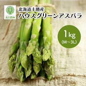 yӂ邳Ɣ[Łz[2026N/s\] kC \Y nEXO[AXp 1kg (M`3L)y AXp AXpKX O[  kC \  z@͂F2026N5{`5{