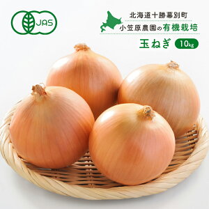 yӂ邳Ɣ[Łz}_̗L@ʂ˂10kgykC\ʁzs2026NHoאs\ty  ʂ˂ ܂˂ p[Et kC ʒ z ^}lM ʔK @͂F2026N9{`11