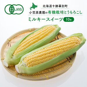 yӂ邳Ɣ[Łz}_̗L@Ƃ낱u~L[XC[cv10{ykC\ʁzs2026N8o׊Jns\ty XC[gR[ R[ Ƃ낱 Ƃ F   