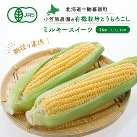 【ふるさと納税】小笠原農園の有機とうもろこし「ミルキースイーツ」16本【北海道十勝幕別】《2026年8月出荷開始先行予約》【 スイートコーン コーン とうもろこし とうきび 黄色 野菜 夏 北海道 幕別町 】 　お届け：2026年8月上旬～2026年9月下旬