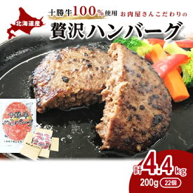 【ふるさと納税】北海道十勝牛手ごねハンバーグ200g×22個　【お肉・ハンバーグ・レトルト】