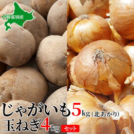 【ふるさと納税】じゃがいも5kg・玉ねぎ4kgセット（北あかり）【十勝幕別 北海道ホープランド農場】　【野菜・じゃがいも・野菜・玉ねぎ・たまねぎ・野菜・セット・詰合せ】　お届け：2024年10月下旬～2025年2月末