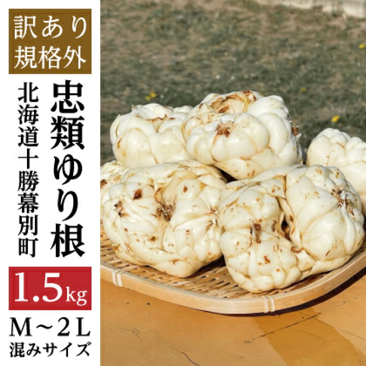 楽天市場】【ふるさと納税】【訳あり】忠類ゆり根 規格外1.5kg（M～2L 