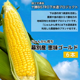 【ふるさと納税】とうもろこし 恵味ゴールド 6本「じゅんかん育ち」【十勝BISTRO下水道プロジェクト】北海道 十勝 幕別町　【野菜・とうもろこし】　お届け：2024年8月1日～2024年8月31日