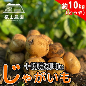 yӂ邳Ɣ[Łzs\/2026NH kC \ ʎY Ⴊ Ƃ 10kg yR_z   H ϕꂵɂ T_ ύݗ Ⴊ J[ V`[ kC̃W