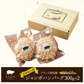 【ふるさと納税】十勝幕別産ブランド放牧豚［どろぶた］ジャンボハンバーグ300g×2　北海道 エルパソ 放牧豚