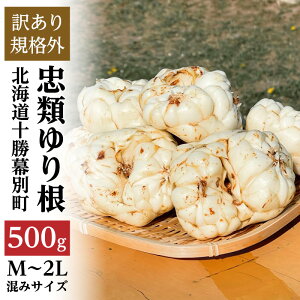 yӂ邳Ɣ[ŁzyKiOz\ ނ荪 500giM`2Lj3`5ʁy kC ʒ  \ H   󂠂 z