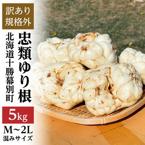 yӂ邳Ɣ[ŁzyKiOz\ ނ荪 5kgiM`2Lj30`50ʁy kC ʒ  \ H   e 󂠂 z