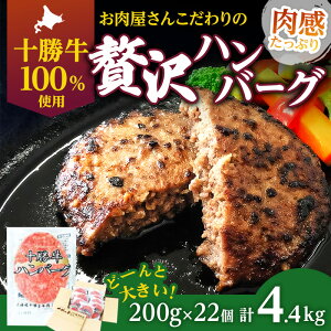 yӂ邳Ɣ[ŁzkC \ 育˃no[O 200g×22yZbg 100% Y  no[O y  Ⓚ 100% 傫 Y kC \  ӂ邳Ɣ[  z