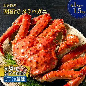 yӂ邳Ɣ[Łzm①ցn䥂łĒIkCY 䥂 ^oKj X p 1`1.5kgy  Jj I ʒ kC  ^o ^oKj CN  C̍K CY ƒp ① z