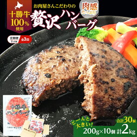 【ふるさと納税】[大人気ハンバーグの定期便] 全3回/2ヶ月毎 合計30個 北海道 十勝牛 手ごねハンバーグ 200g×10個【 セット 牛100% 国産牛 牛肉 ハンバーグ パティ パテ 惣菜 小分け 冷凍 大きい 国産 北海道 十勝 幕別 ふるさと納税 送料無料 】