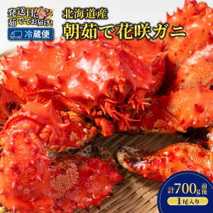 yӂ邳Ɣ[Łzm①ցn䥂łĒIkCY 䥂 ԍKj 700g×1y  Jj I ԍKj ԍI CN  C̍K CY ƒp ① kC \  z