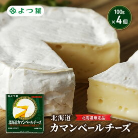 【ふるさと納税】よつ葉 「北海道カマンベールチーズ [北海道限定品]」100g×4【 よつ葉 北海道カマンベールチーズ 販売店 新千歳空港 札幌駅 お土産 通販 お取り寄せ 違い 口コミ パッケージ 北海道限定 食べ方 レシピ アレンジ ワイン おつまみ 北海道 十勝 幕別 】