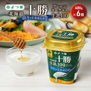 【ふるさと納税】よつ葉 「北海道十勝プレーンヨーグルト 生乳100 とろっとなめらか」400g×6【 よつ葉 北海道十勝プレーンヨーグルト 生乳100% タンパク質 菌 効果 腸活 レシピ 食べ方 アレ