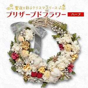 yӂ邳Ɣ[ŁzyvU[uht[zʂNX}X[Xin[tjmقȂݎG݁ny [X NX}X  AWg vU[uh    kC \ 