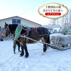 yӂ邳Ɣ[ŁzykC \ ʒ z\J̑b nœ~̐Xցm yA `Pbg ny q w cA[ ̌^  s Cxg ~x R ڏZ R q KCh kC \