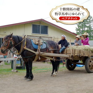 yӂ邳Ɣ[ŁzykC \ ʒ z\J̑b qnԂɂām yA `Pbg ny q w cA[ ̌^  s Cxg ċx R ڏZ R q KCh kC 