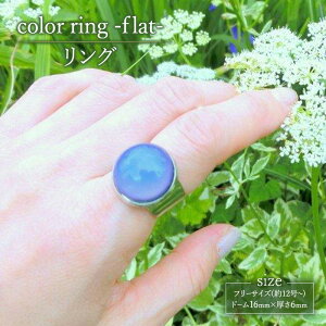 �y�ӂ邳�Ɣ[�Łzcolor ring -flat- �����O �w�� �A�N�Z�T���[ 1�� �y�V���v�� �O���f�[�V���� �X�J�C�u���[ �O���[�� �C�G���[ �p�[�v�� �s���N ���� �n���h���C�h ���� �E�l ��i ��l�ȕ�