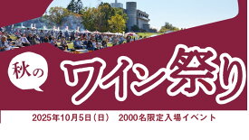 【ふるさと納税】10月5日（日） 北海道池田町ワイン祭り入場券 1名分 祭り チケット