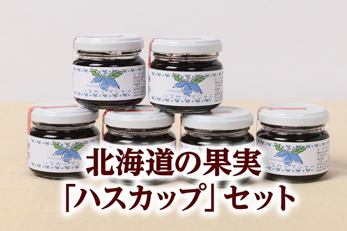 新商品 贈呈 北海道の果実 ハスカップ をお楽しみください ふるさと納税 A042-3 セット